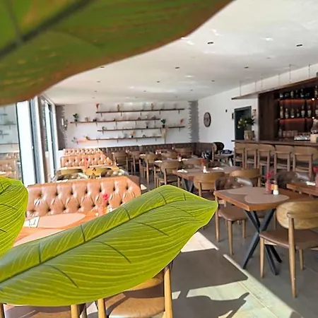 Jg & Restaurant Antoniergasse 3*